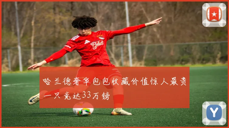 哈兰德奢华包包收藏价值惊人最贵一只竟达33万镑