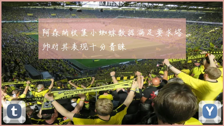 阿森纳收集小蜘蛛数据满足要求塔帅对其表现十分青睐
