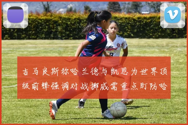 吉马良斯称哈兰德与凯恩为世界顶级前锋强调对战挪威需重点盯防哈兰德