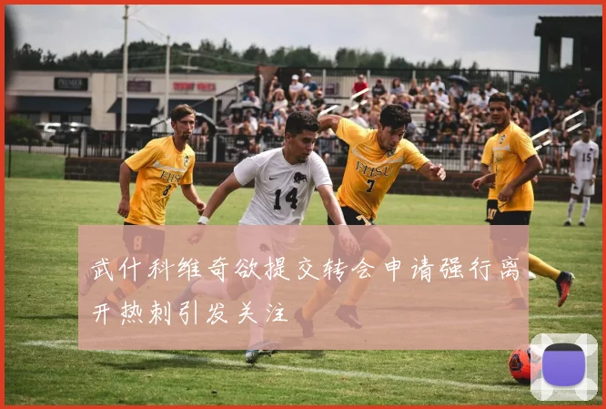 武什科维奇欲提交转会申请强行离开热刺引发关注